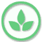 Aromatische Kräuter