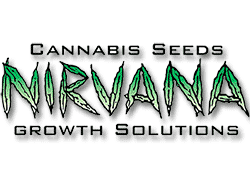 Nirvana