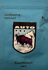 Lemon AUTO 100% (5) bei Samenwahl sicher online bestellen und kaufen