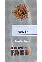Afghan Hash Plant Reg. (10) bei Samenwahl sicher online bestellen und kaufen