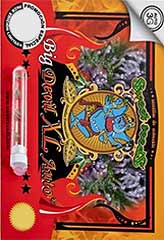 Big Devil XL AUTO 100% (100) *** bei Samenwahl sicher online bestellen und kaufen