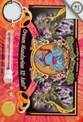 Cream Mandarine XL AUTO 100% (100) *** bei Samenwahl sicher online bestellen und kaufen