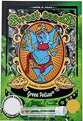 Green Poison 100% (100) *** bei Samenwahl sicher online bestellen und kaufen
