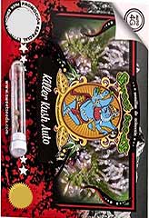 Killer Kush AUTO 100% (100) *** bei Samenwahl sicher online bestellen und kaufen