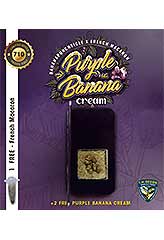 Purple Banana Cream 100% (6) bei Samenwahl sicher online bestellen und kaufen