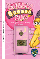 BubbleBananaGum 100% (6) bei Samenwahl sicher online bestellen und kaufen