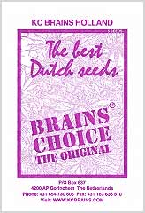 Brains Choice (5) bei Samenwahl sicher online bestellen und kaufen