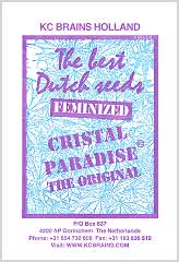 Cristal Paradise 100% bei Samenwahl sicher online bestellen und kaufen