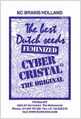 Cyber Cristal 100% bei Samenwahl sicher online bestellen und kaufen