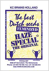 Haze Special 100% bei Samenwahl sicher online bestellen und kaufen
