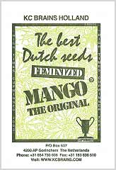 Mango 100% bei Samenwahl sicher online bestellen und kaufen