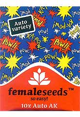Auto AK | Female Seeds | 10 Samen |  bei Samenwahl
