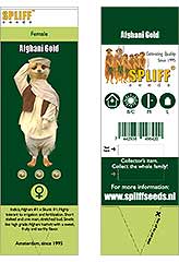 Afghani Gold 100% (3) bei Samenwahl sicher online bestellen und kaufen