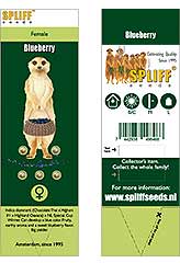 Blue Berry 100% (5) bei Samenwahl sicher online bestellen und kaufen