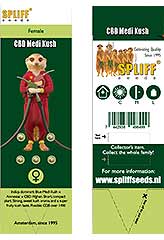 CBD Medi Kush 100% (5) bei Samenwahl sicher online bestellen und kaufen