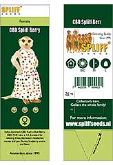 CBD Spliff Berry 100% (3) bei Samenwahl sicher online bestellen und kaufen