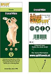 Crystal White 100% (3) bei Samenwahl sicher online bestellen und kaufen
