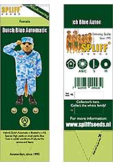 Dutch Blue Automatic 100% (3) bei Samenwahl sicher online bestellen und kaufen