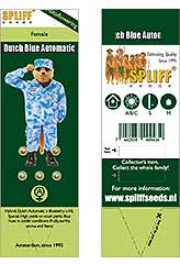 Dutch Blue Automatic 100% (5) bei Samenwahl sicher online bestellen und kaufen