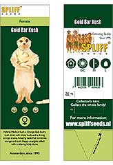 Gold Bar Kush 100% (3) bei Samenwahl sicher online bestellen und kaufen