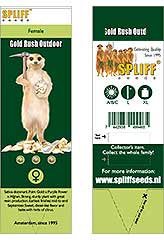 Gold Rush Outdoor 100% (3) bei Samenwahl sicher online bestellen und kaufen
