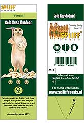 Gold Rush Outdoor 100% (5) bei Samenwahl sicher online bestellen und kaufen