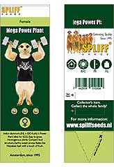 Mega Power Plant 100% (3) bei Samenwahl sicher online bestellen und kaufen