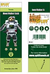 Moon Walker Kush 100% (3) bei Samenwahl sicher online bestellen und kaufen