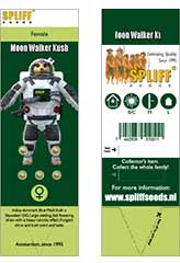 Moon Walker Kush 100% (5) bei Samenwahl sicher online bestellen und kaufen