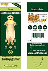 Spliff Cheese Automatic 100% (5) bei Samenwahl sicher online bestellen und kaufen
