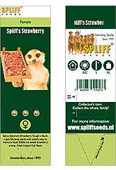 Spliff's Strawberry 100% (3) bei Samenwahl sicher online bestellen und kaufen