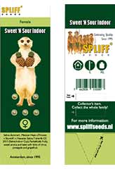 Sweet 'n Sour 100% (5) bei Samenwahl sicher online bestellen und kaufen