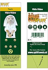 White Widow Reg. | Spliff Seeds | 5 Samen | bei Samenwahl