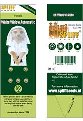 White Widow Auto | Spliff Seeds | 5 Samen | bei Samenwahl