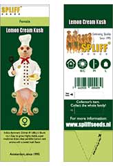 Lemon Cream Kush 100% (5) bei Samenwahl sicher online bestellen und kaufen