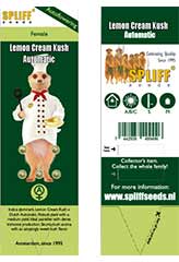 Lemon Cream Kush Auto 100% (5) bei Samenwahl sicher online bestellen und kaufen