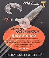 Big Auto Tao (5) bei Samenwahl sicher online bestellen und kaufen