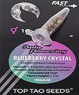 Blueberry Crystal (10) bei Samenwahl sicher online bestellen und kaufen