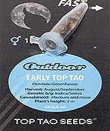 Early Top Tao (10) bei Samenwahl sicher online bestellen und kaufen