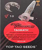 Taomatic (10) bei Samenwahl sicher online bestellen und kaufen