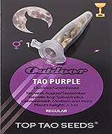 Tao Purple (10) bei Samenwahl sicher online bestellen und kaufen