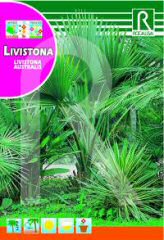 Livistona (Australische Latania) bei Samenwahl sicher online bestellen und kaufen