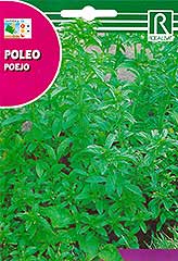 Poleiminze bei Samenwahl sicher online bestellen und kaufen