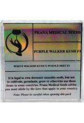 Purple Walker Kush F1 bei Samenwahl sicher online bestellen und kaufen