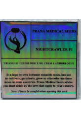Night Crawler F1 bei Samenwahl sicher online bestellen und kaufen