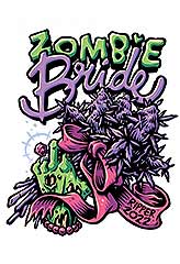 Zombie Bride 100% (3) bei Samenwahl sicher online bestellen und kaufen