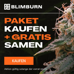 Promotion Blimburn